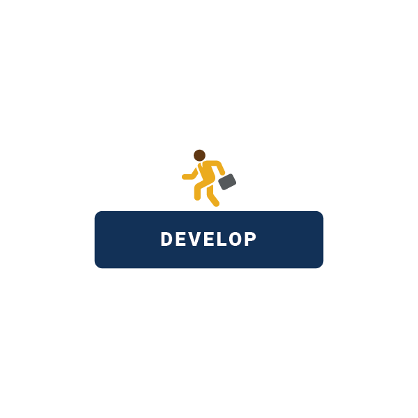 Develop Icon